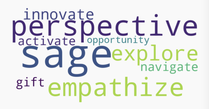 The Sage Perspective word cloud