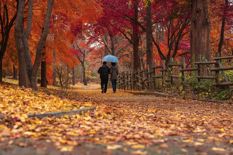 Refresh Your Mind and Body on an Autumn Stroll