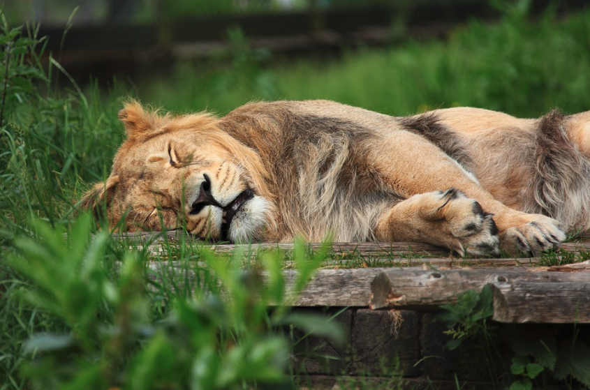Series: Stress - Sleep: Why getting enough sleep is critical to your success!