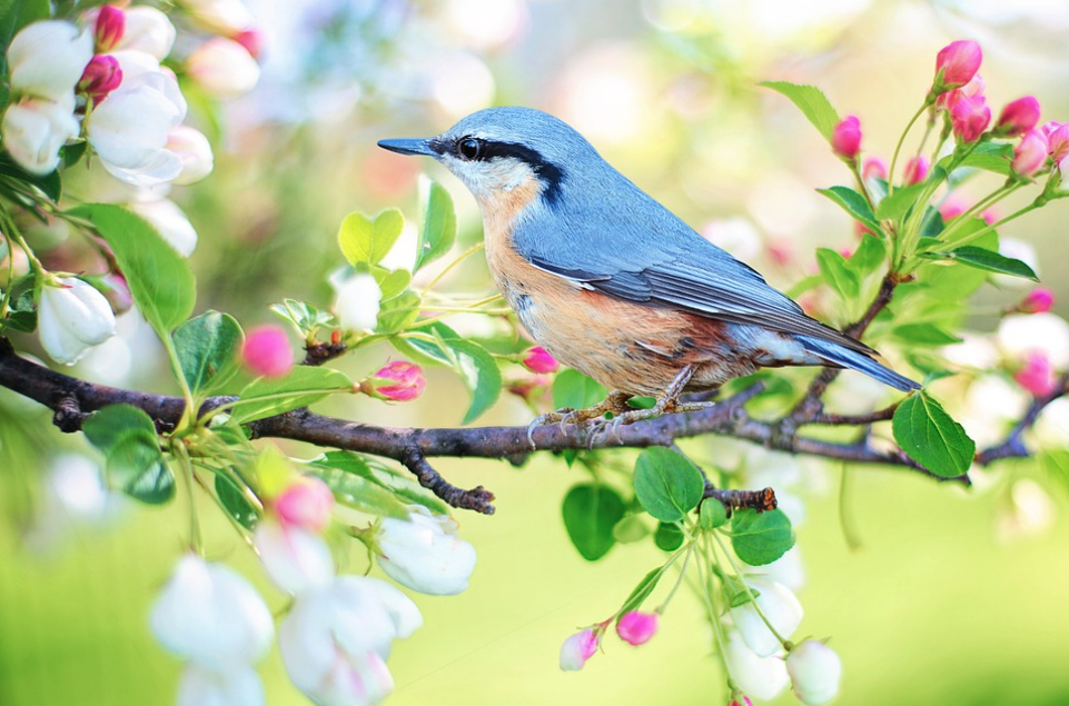 1,2,3, It’s Spring! 5 Ways To Incorporate The Spring Season Into Your Marketing Plan